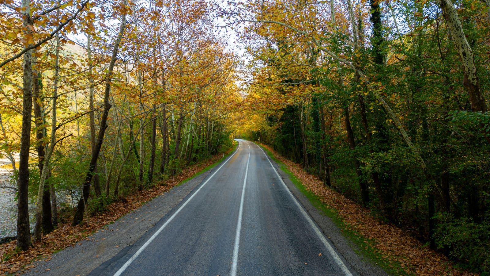 Une route de campagne traversant une forêt aux couleurs d’automne.