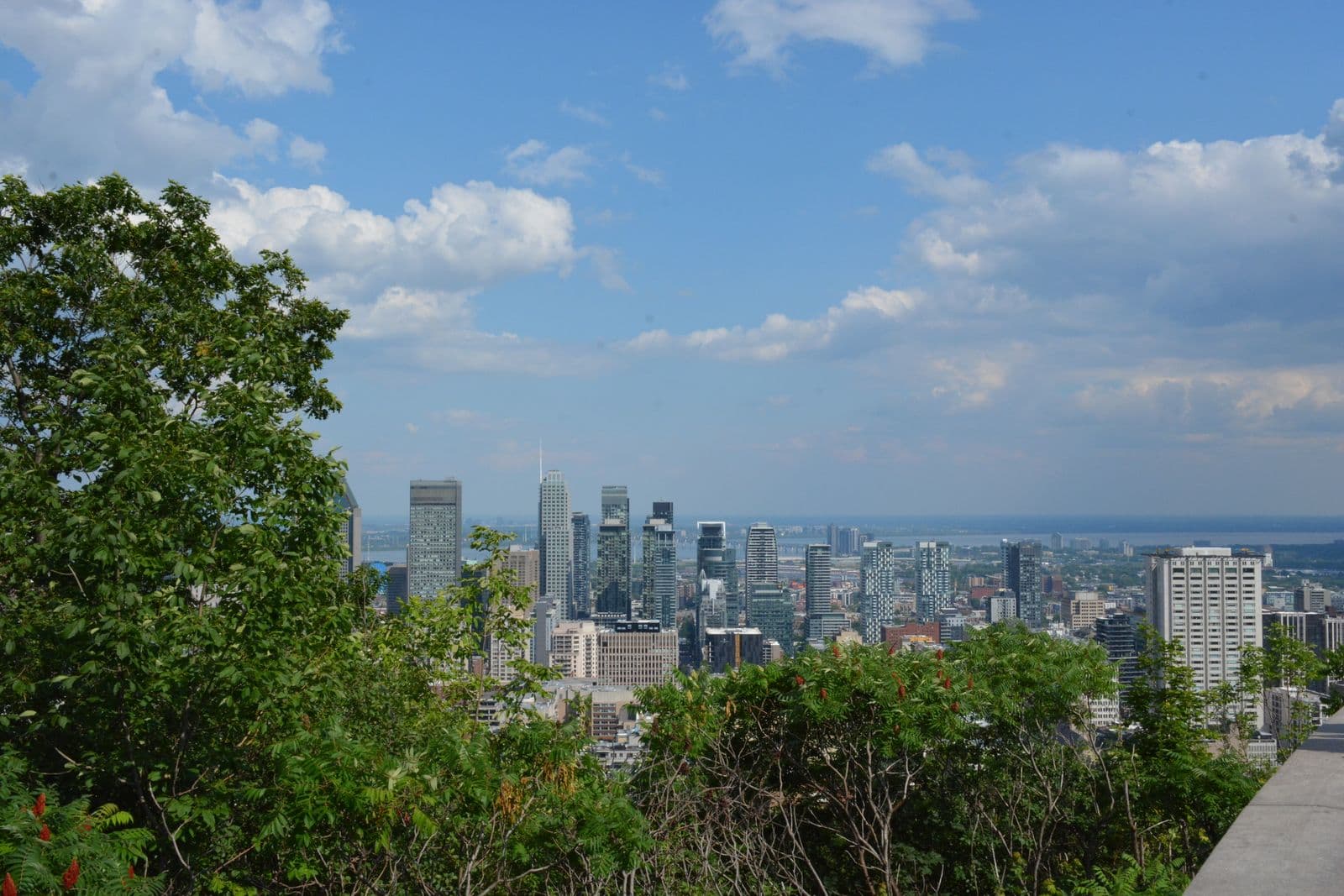 Le centre-ville de Montréal vu depuis le mont Royal, au-dessus des arbres.